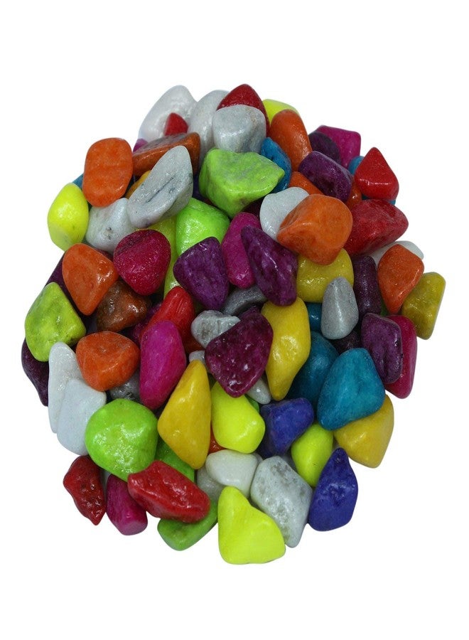 ABG Round Glass Terrarium/Aquarium Vessel. ONE Unit with Colorful Stones, ONE Artificial Plant and Two Artificial Fish.8 INCH - Image 3